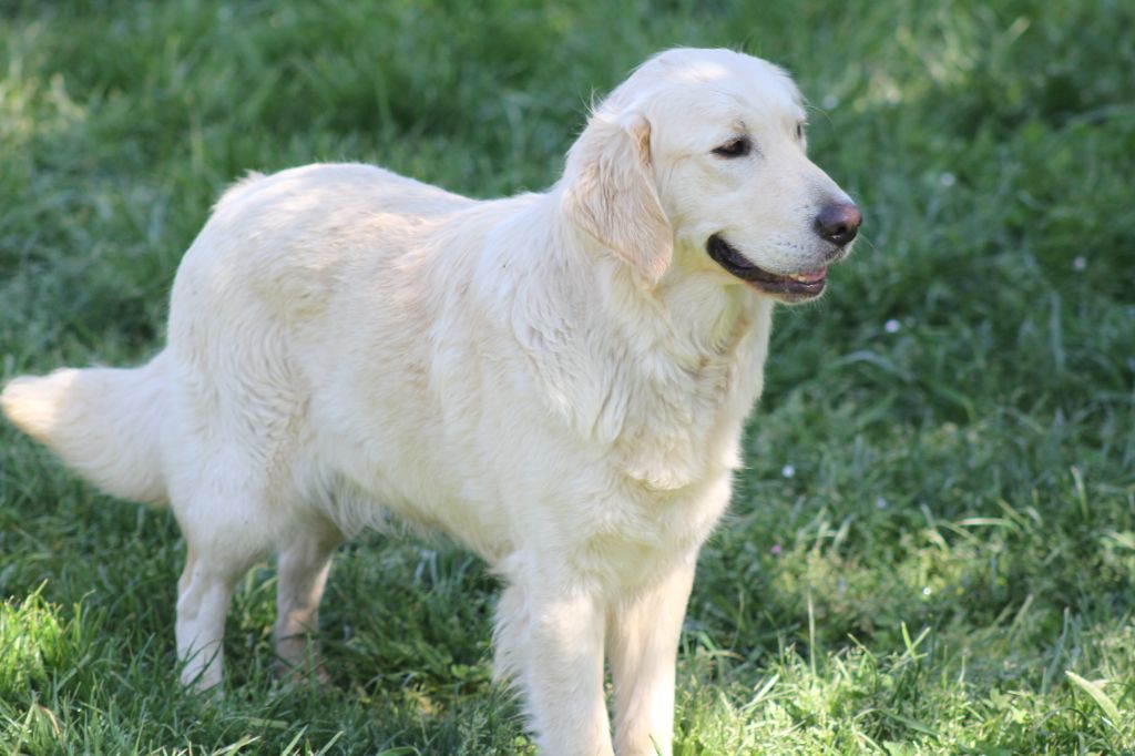 Riley De La Tombée De La Nuit