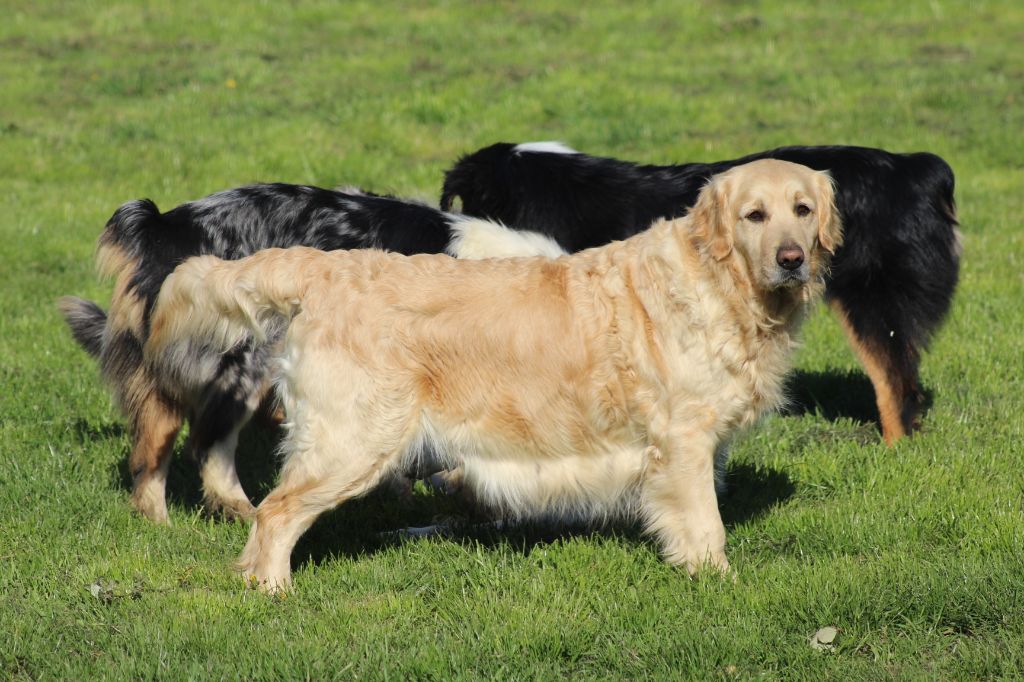 Mila du Chateau de Plaisance